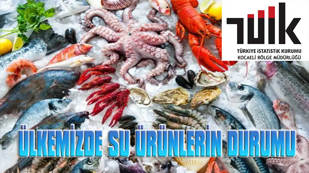 ÜLKEMİZDE-SU-ÜRÜNLERİN-DURUMU