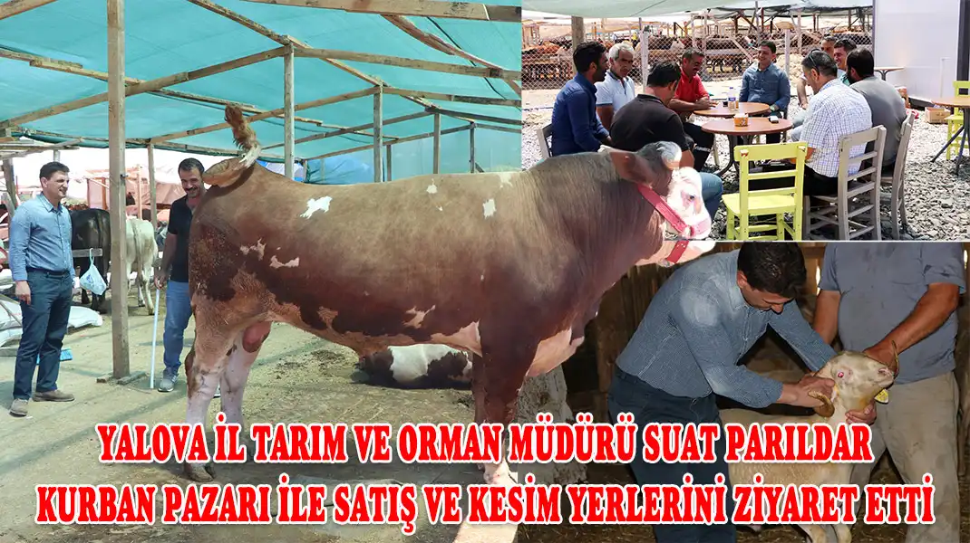 YALOVA-İL-TARIM-VE-ORMAN-MÜDÜRÜ-SUAT-PARILDAR-KURBAN-PAZARI-İLE-SATIŞ-VE-KESİM-YERLERİNİ-ZİYARET-ETTİ