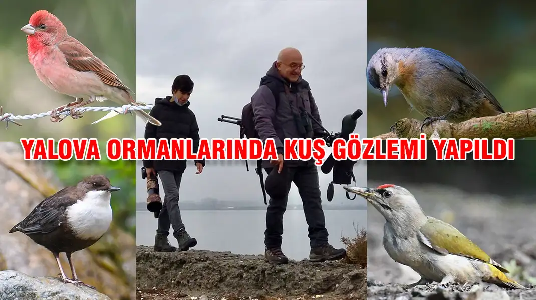YALOVA ORMANLARINDA KUŞ GÖZLEMİ YAPILDI