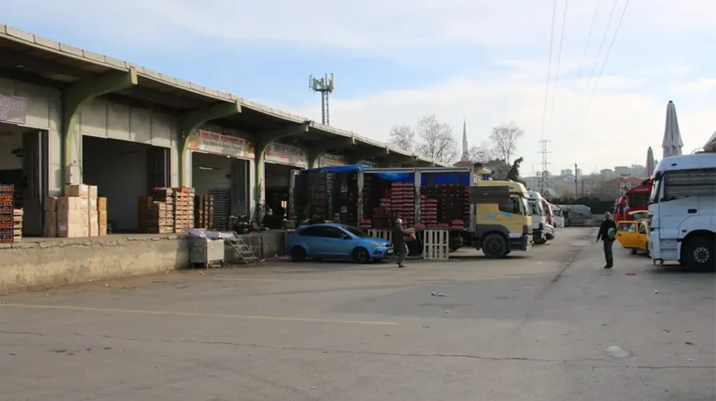 YAŞ, SEBZE VE MEYVE HALİNDEN 16 BİN 323 TON ÇIKIŞ YAPILDI