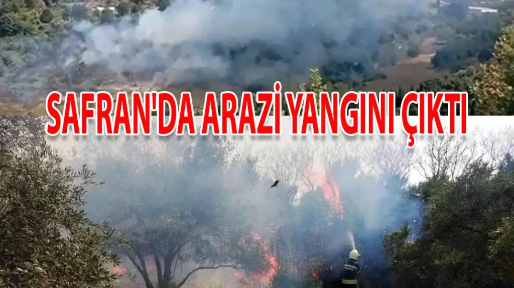 SAFRAN'DA ARAZİ YANGINI ÇIKTI