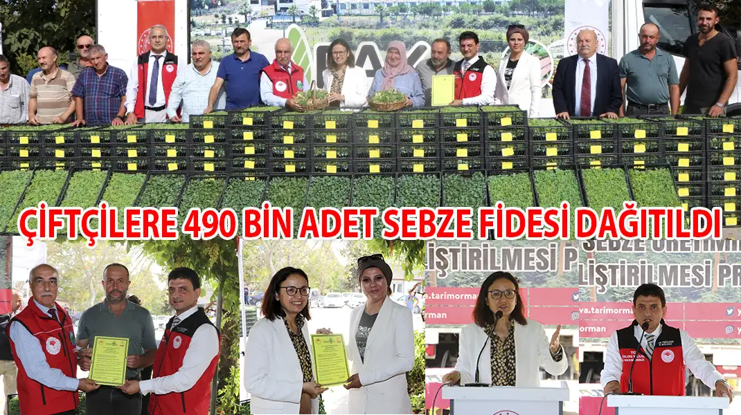 ÇİFTÇİLERE 490 BİN ADET SEBZE FİDESİ DAĞITILDI