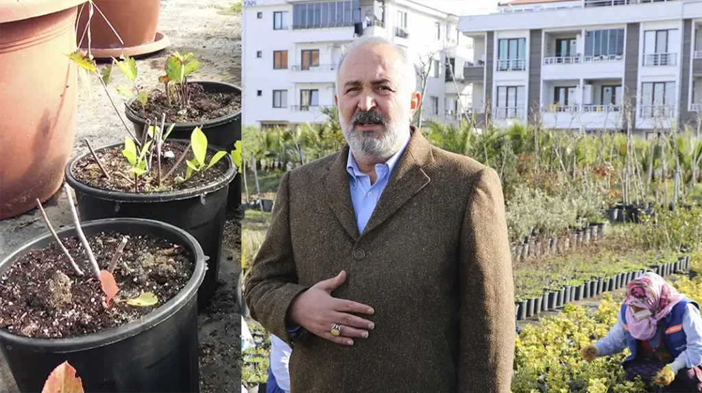ÇİFTLİKKÖY PARKLARINI TIBBİ AROMATİK BİTKİLER SÜSLEYECEK