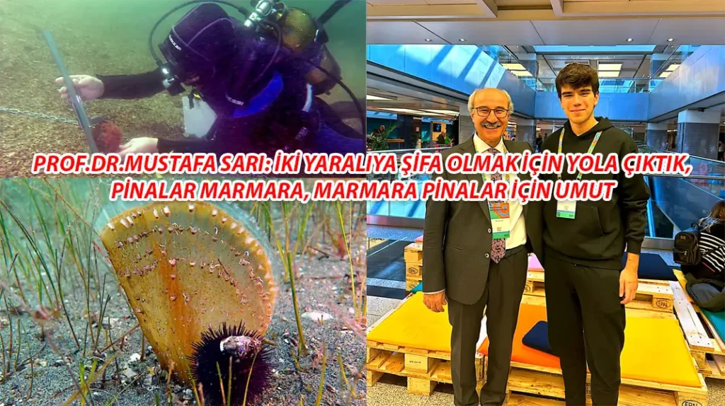 MARMARA’NIN UMUDU PİNA
