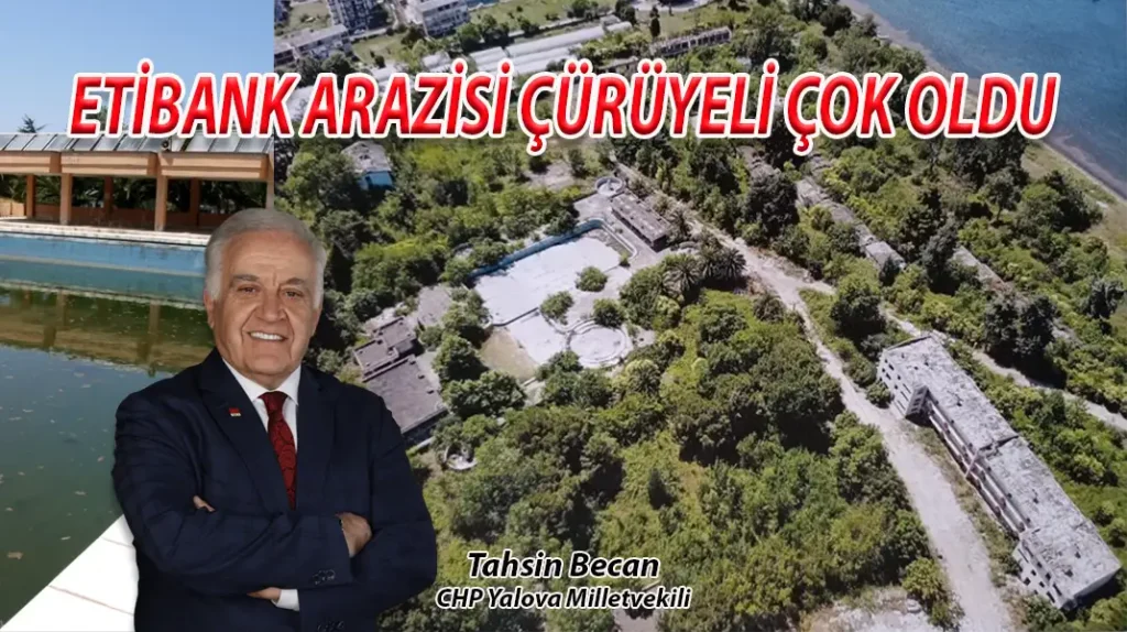 ETİBANK ARAZİSİ ÇÜRÜYELİ ÇOK OLDU