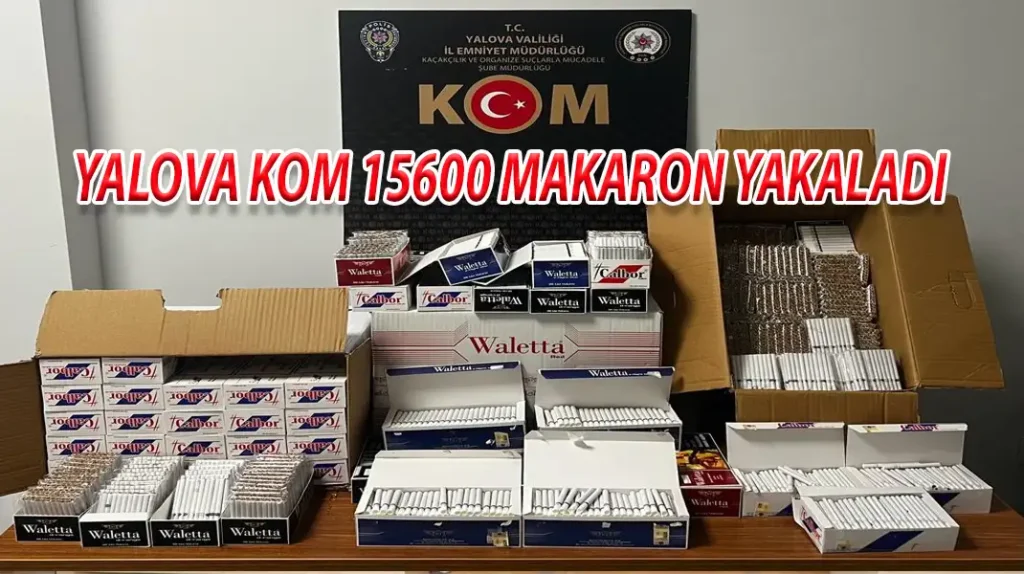 YALOVA KOM 15600 MAKARON YAKALADI