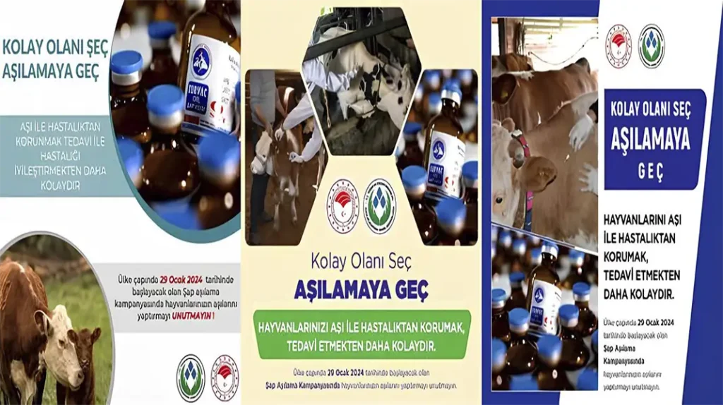 ŞAP AŞILAMA KAMPANYASI BAŞLADI