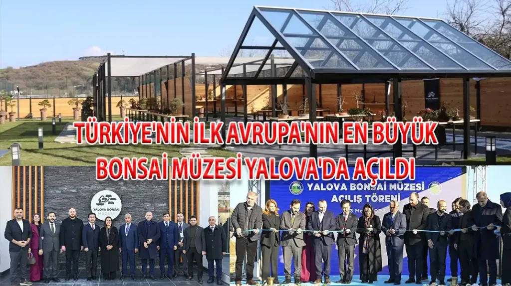 TÜRKİYE'NİN İLK AVRUPA'NIN EN BÜYÜK BONSAİ MÜZESİ YALOVA'DA AÇILDI