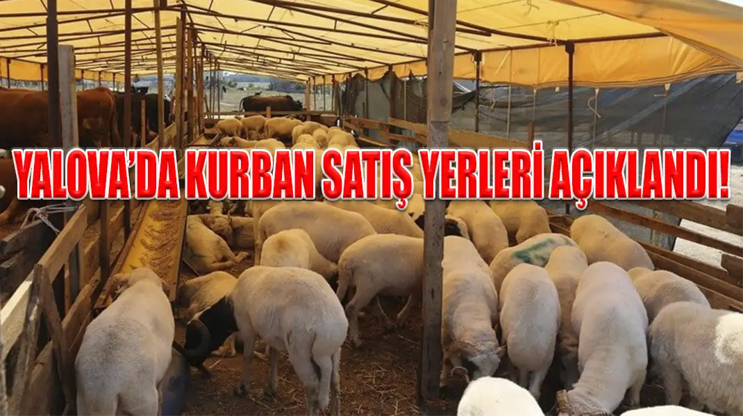 YALOVA’DA KURBAN SATIŞ YERLERİ AÇIKLANDI!