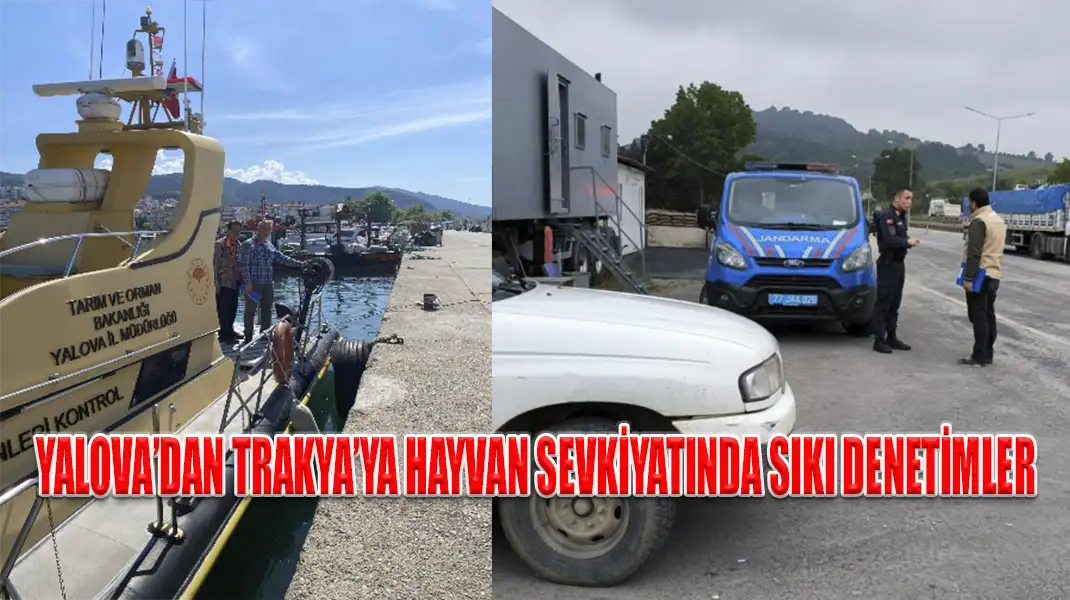 YALOVA’DAN TRAKYA’YA HAYVAN SEVKİYATINDA SIKI DENETİMLER