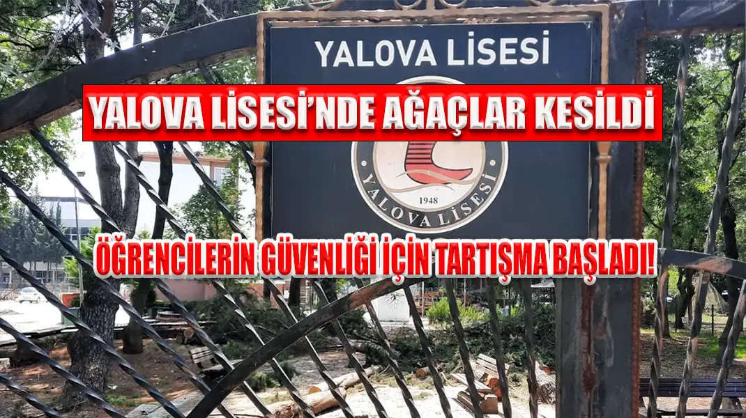 YALOVA LİSESİ’NDE AĞAÇLAR KESİLDİ ÖĞRENCİLERİN GÜVENLİĞİ İÇİN TARTIŞMA BAŞLADI!