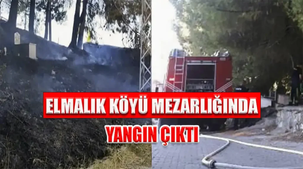 ELMALIK KÖYÜ MEZARLIĞINDA YANGIN ÇIKTI