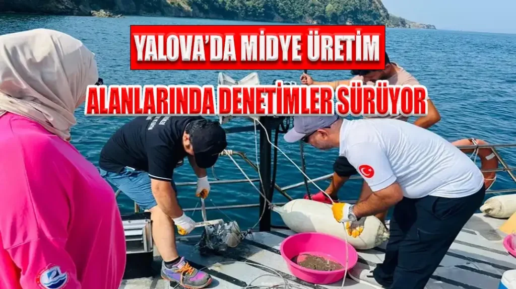 YALOVA’DA MİDYE ÜRETİM ALANLARINDA DENETİMLER SÜRÜYOR