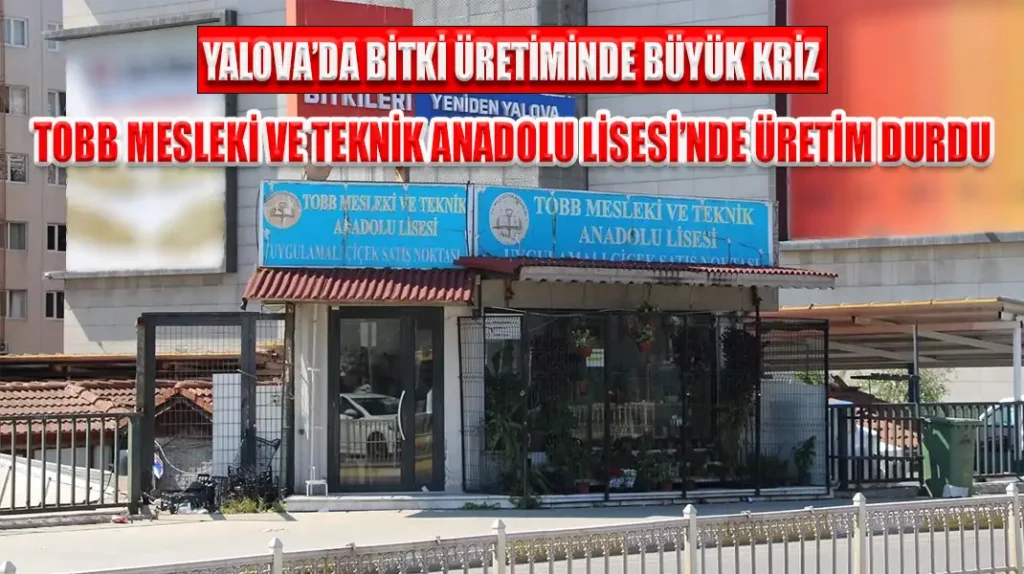 YALOVA’DA BİTKİ ÜRETİMİNDE BÜYÜK KRİZ TOBB MESLEKİ VE TEKNİK ANADOLU LİSESİ’NDE ÜRETİM DURDU