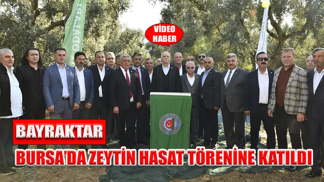 BAYRAKTAR, BURSA’DA ZEYTİN HASAT TÖRENİNE KATILDI