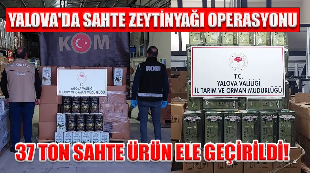 YALOVA'DA SAHTE ZEYTİNYAĞI OPERASYONU 37 TON SAHTE ÜRÜN ELE GEÇİRİLDİ!