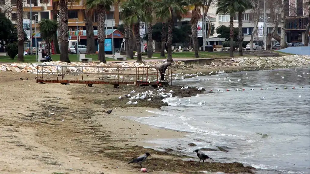 YALOVA SAHİLİNDE DENİZ SUYU ÇEKİLDİ, VATANDAŞLAR TEDİRGİN OLDU