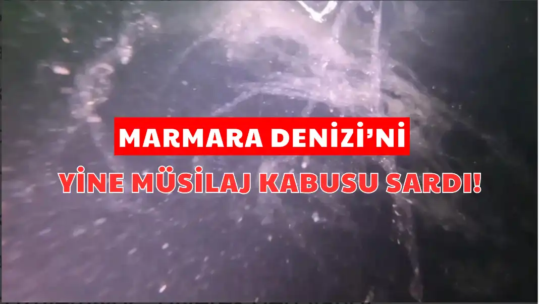 MARMARA DENİZİ’Nİ YİNE MÜSİLAJ KABUSU SARDI!