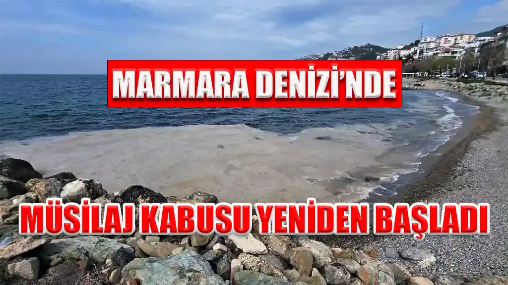 MARMARA DENİZİ’NDE MÜSİLAJ KABUSU YENİDEN BAŞLADI