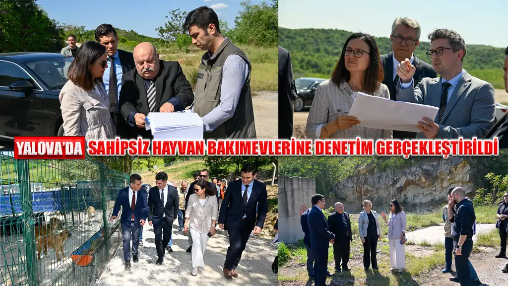 YALOVA’DA SAHİPSİZ HAYVAN BAKIMEVLERİNE DENETİM GERÇEKLEŞTİRİLDİ