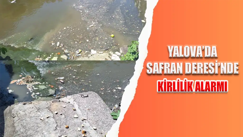 YALOVA’DA SAFRAN DERESİ’NDE KİRLİLİK ALARMI