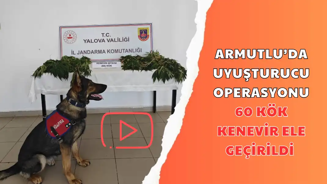 ARMUTLU'DA UYUŞTURUCU OPERASYONU