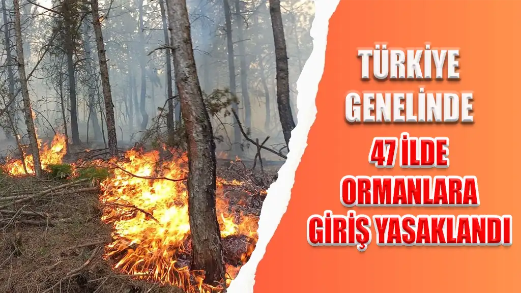 TÜRKİYE GENELİNDE 47 İLDE ORMANLARA GİRİŞ YASAKLANDI