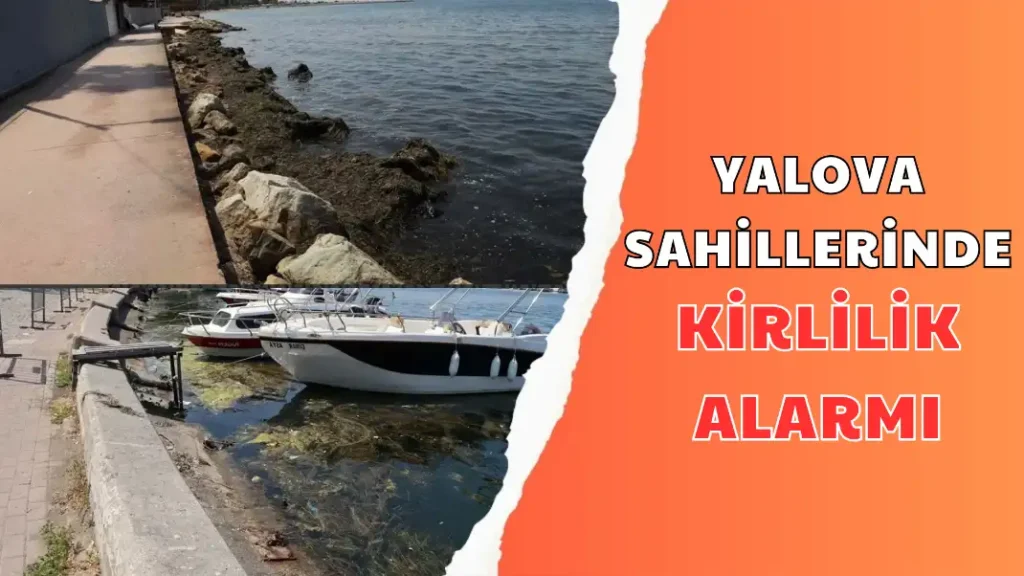 YALOVA SAHİLLERİNDE KİRLİLİK ALARMI