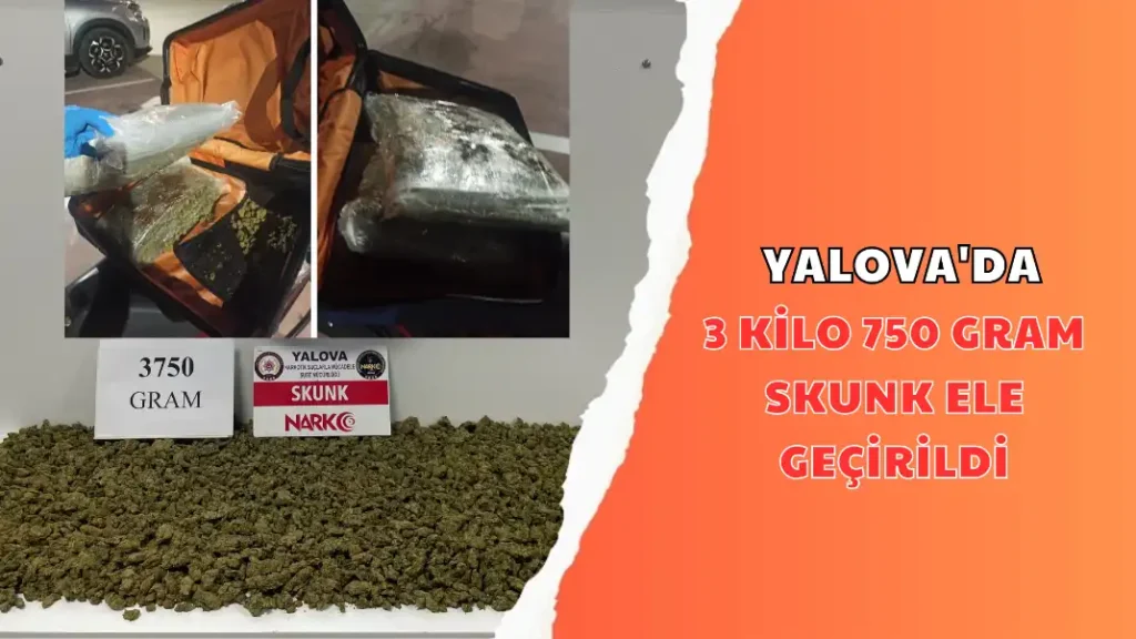 YALOVA'DA 3 KİLO 750 GRAM SKUNK ELE GEÇİRİLDİ