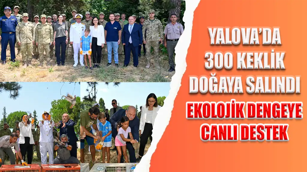 YALOVA’DA 300 KEKLİK DOĞAYA SALINDI EKOLOJİK DENGEYE CANLI DESTEK