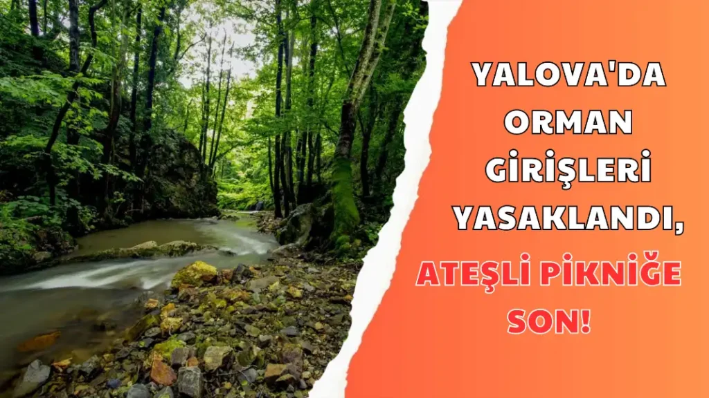YALOVA'DA ORMAN GİRİŞLERİ YASAKLANDI, ATEŞLİ PİKNİĞE SON!
