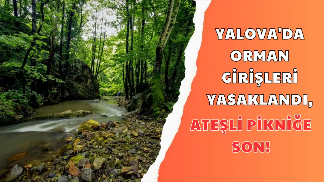 YALOVA'DA ORMAN GİRİŞLERİ YASAKLANDI, ATEŞLİ PİKNİĞE SON!