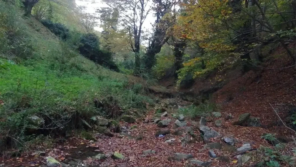 KURTKÖY