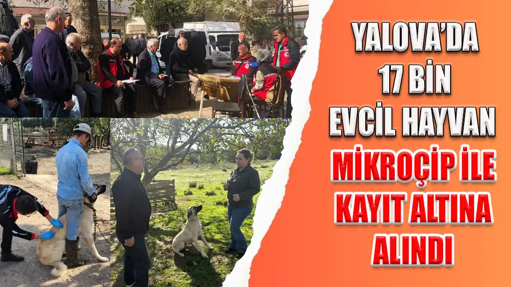 YALOVA’DA 17 BİN EVCİL HAYVAN MİKROÇİP İLE KAYIT ALTINA ALINDI