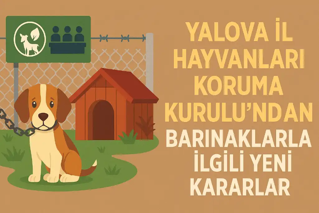 YALOVA İL HAYVANLARI KORUMA KURULU’NDAN BARINAKLARLA İLGİLİ KRİTİK KARARLAR