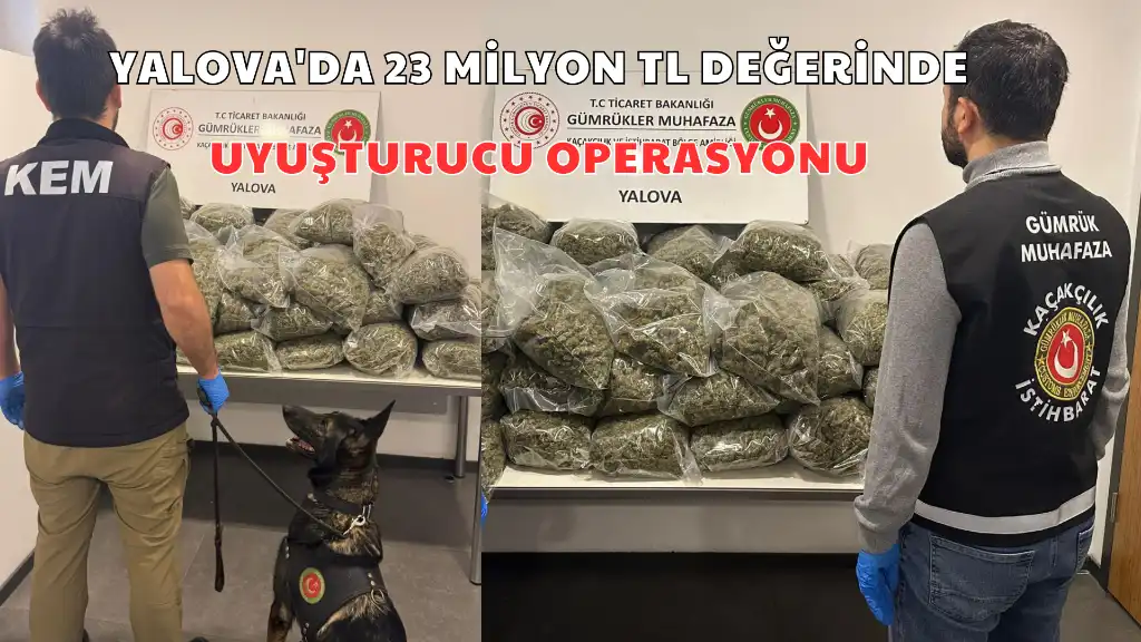 YALOVA'DA 23 MİLYON TL DEĞERİNDE UYUŞTURUCU OPERASYONU