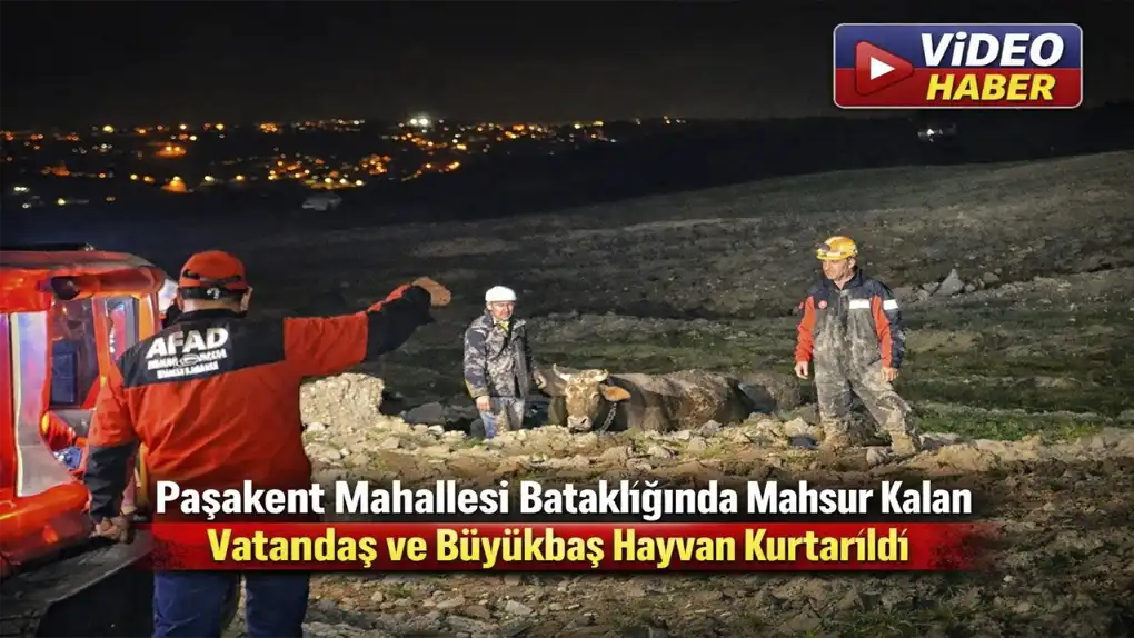Paşakent Mahallesi Bataklığında Mahsur Kalan Vatandaş ve Büyükbaş Hayvan Kurtarıldı