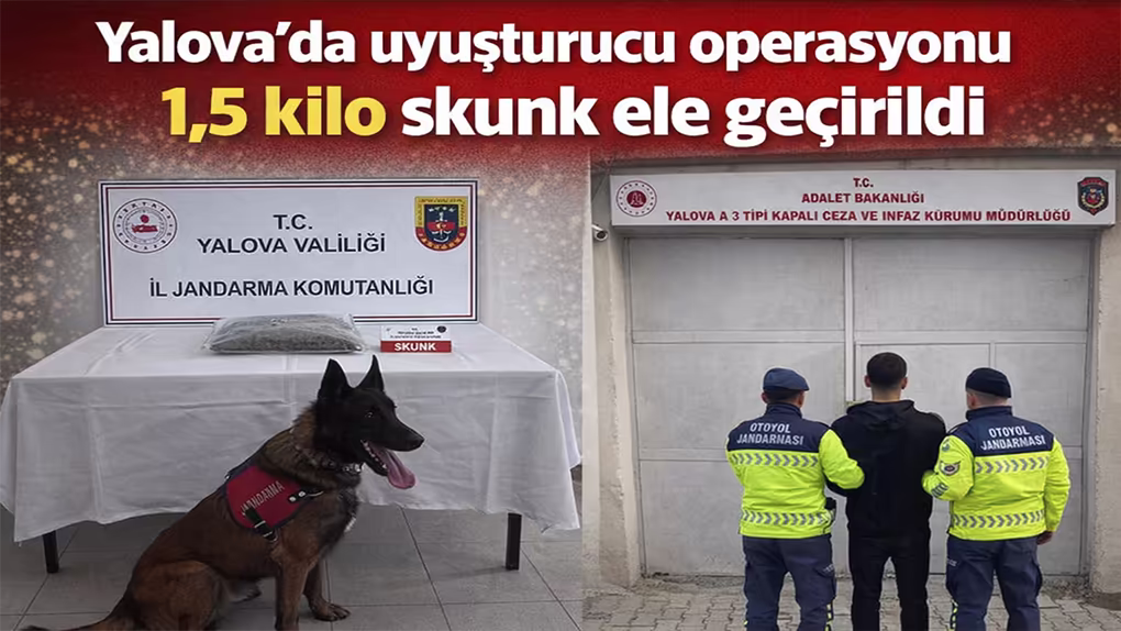 Yalova’da uyuşturucu operasyonu 1,5 kilo skunk ele geçirildi