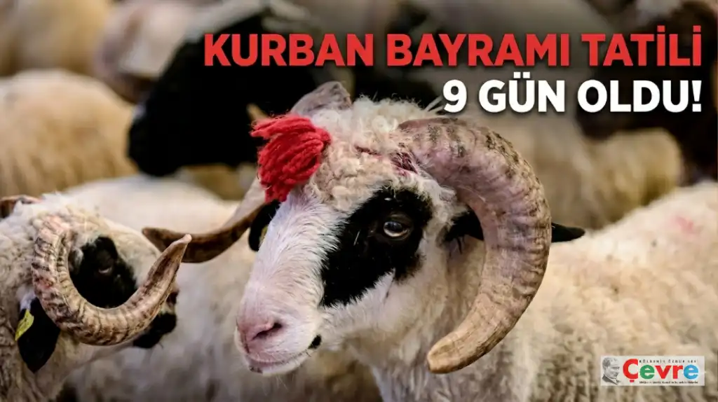 KURBAN BAYRAMI TATİLİ KAÇ GÜN OLDU