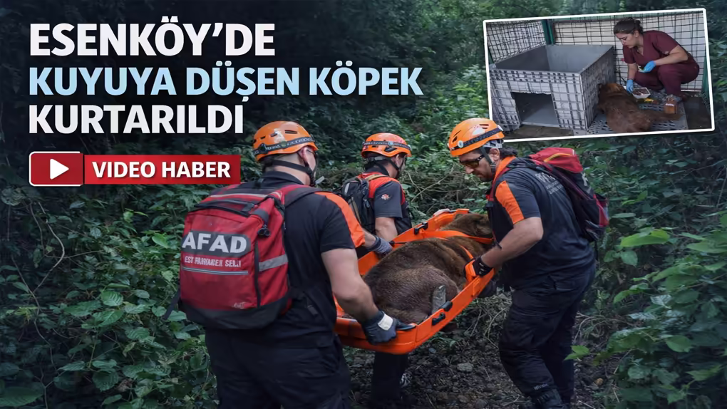 Esenköy’de Kuyuda Mahsur Kalan Köpek Kurtarıldı