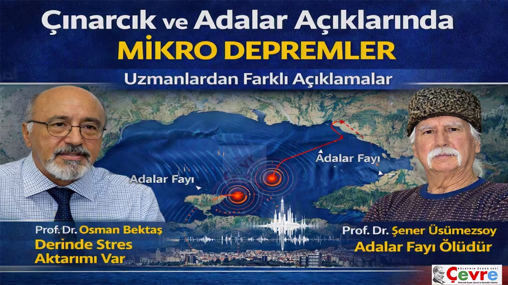 Marmara’da Mikro Depremler: Bilim İnsanları Karşı Karşıya