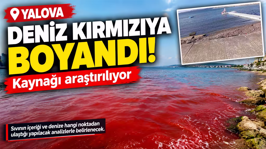 Yalova’da deniz kırmızıya boyandı! Kaynağı araştırılıyor