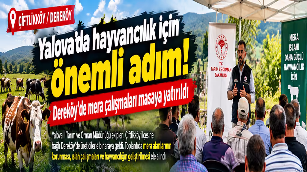 Yalova’da hayvancılık için önemli adım! Dereköy’de mera çalışmaları masaya yatırıldı